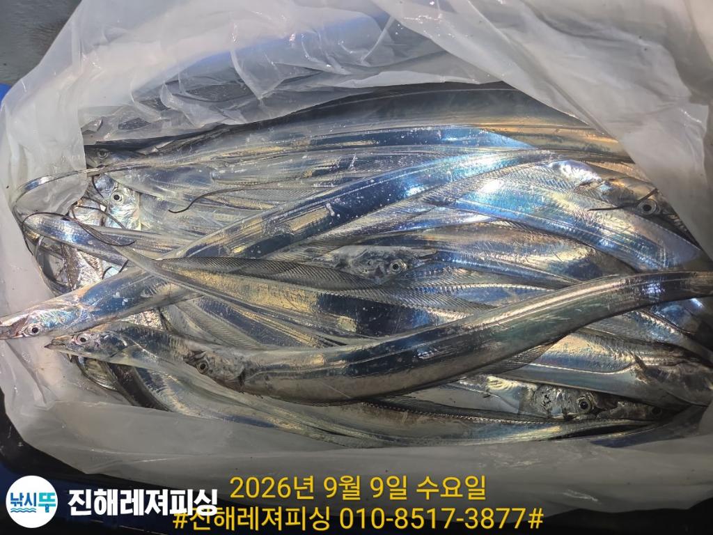 낚시뚜,갈치,진해1부두항,진해레져피싱,낚시뚜21