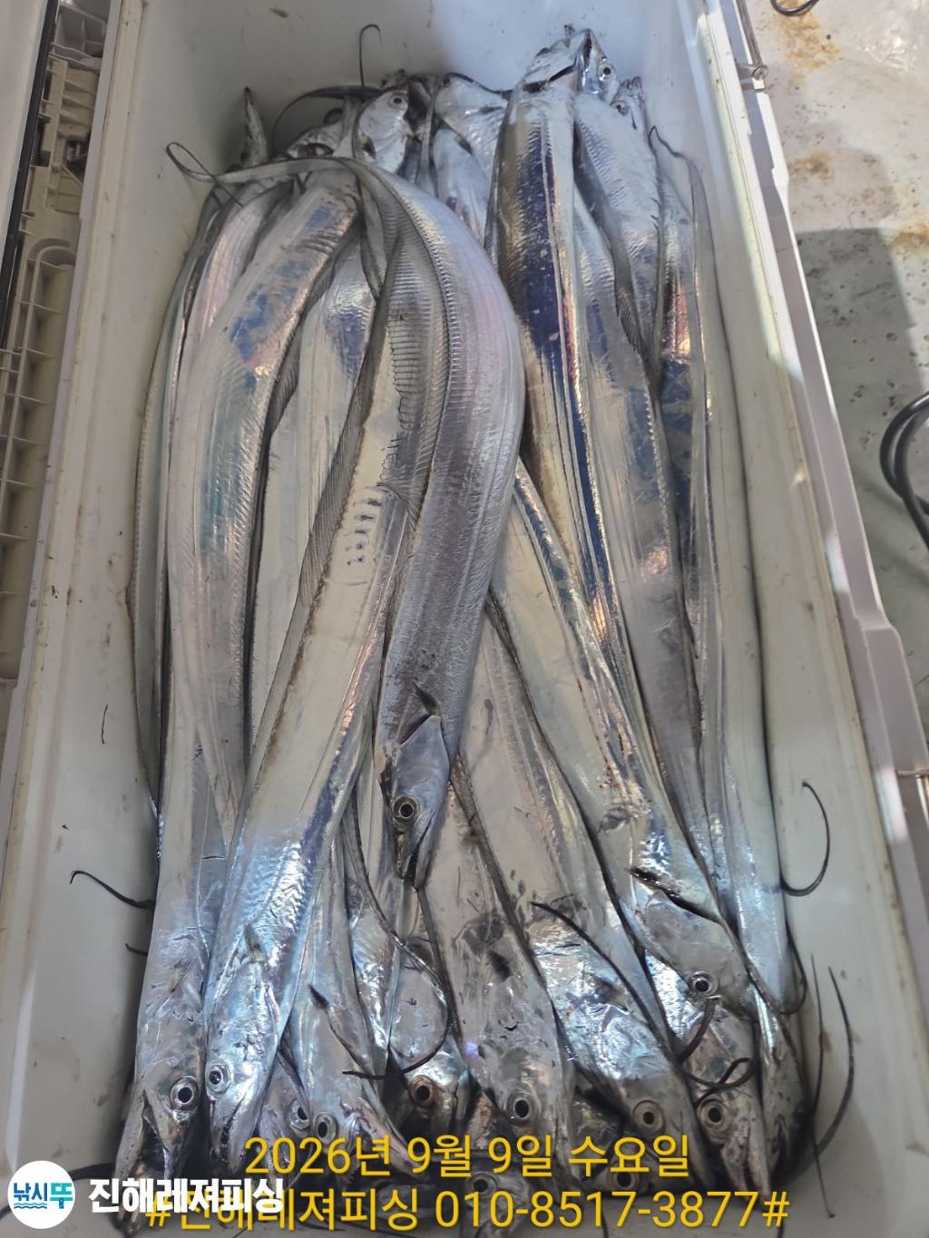낚시뚜,갈치,진해1부두항,진해레져피싱,낚시뚜19