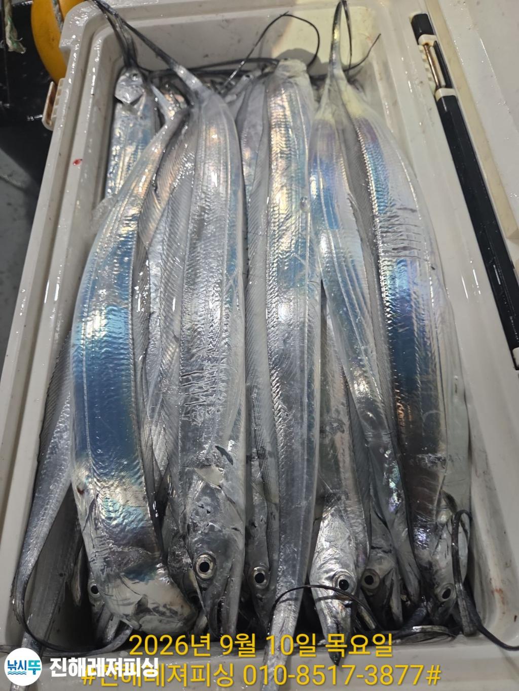 낚시뚜,갈치,진해1부두항,진해레져피싱,낚시뚜26
