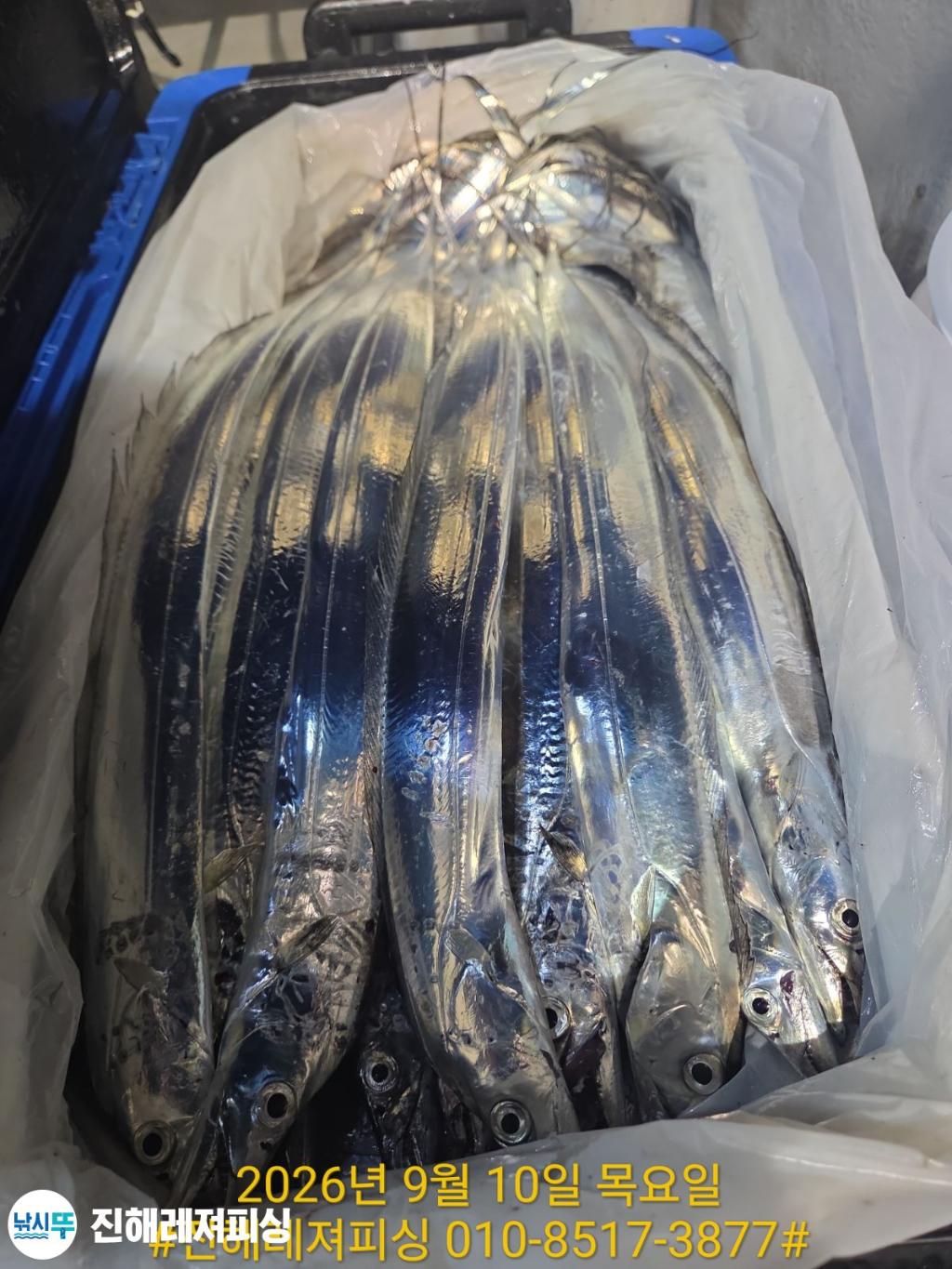 낚시뚜,갈치,진해1부두항,진해레져피싱,낚시뚜23