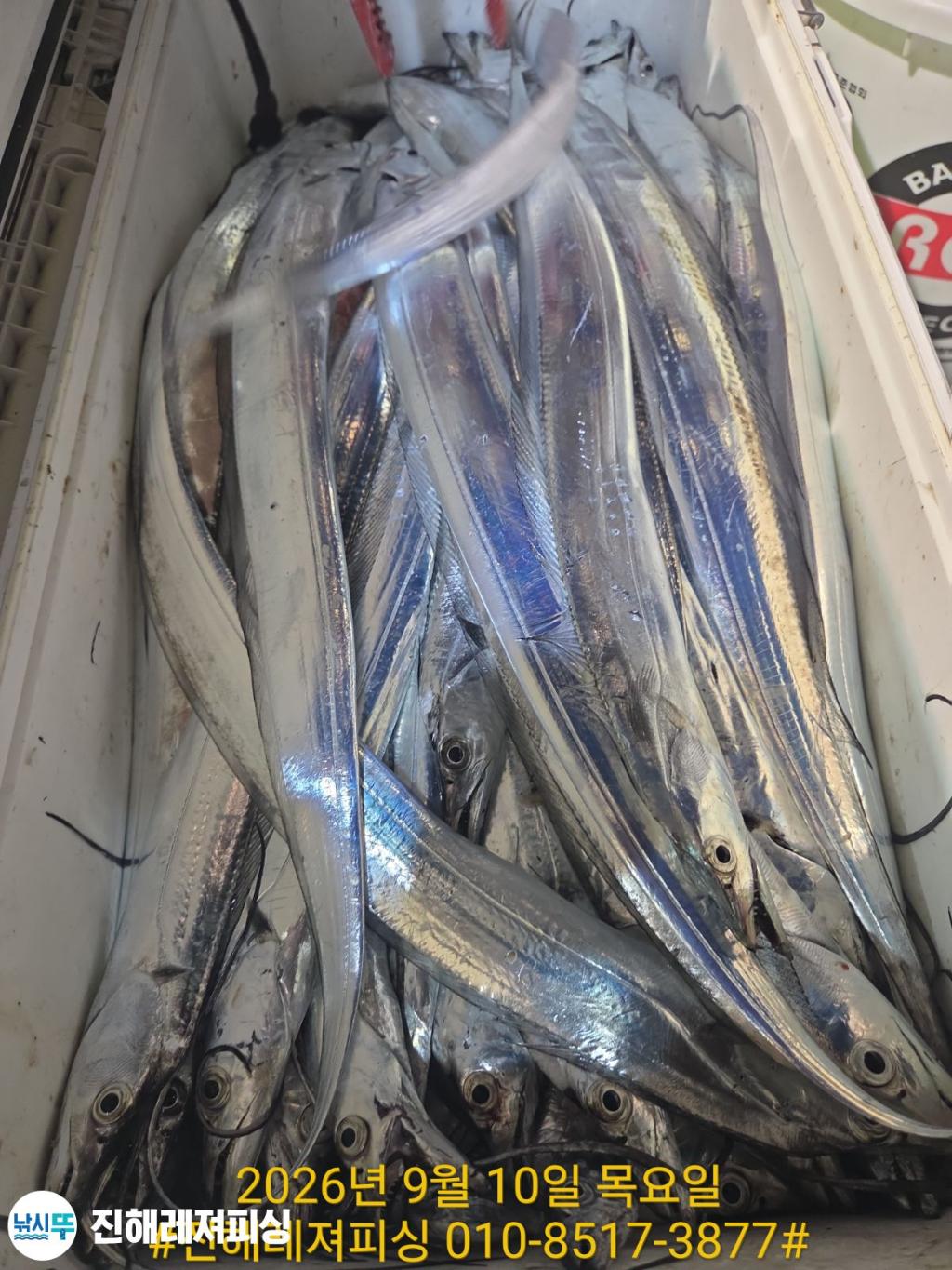 낚시뚜,갈치,진해1부두항,진해레져피싱,낚시뚜22