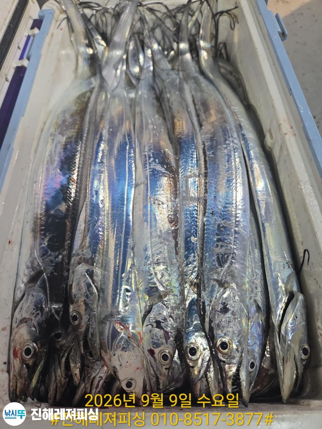 낚시뚜,갈치,진해1부두항,진해레져피싱,낚시뚜16