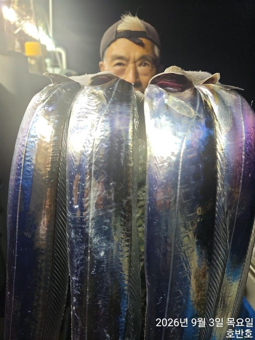 낚시뚜,갈치,통영 신전항,통영호반호,낚시뚜10