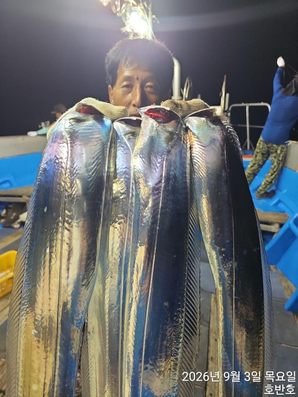 낚시뚜,갈치,통영 신전항,통영호반호,낚시뚜6
