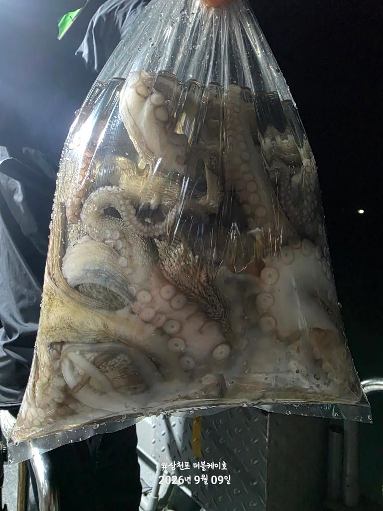 낚시뚜,돌문어,삼천포 팔포항,삼천포 더블케이호,낚시뚜19