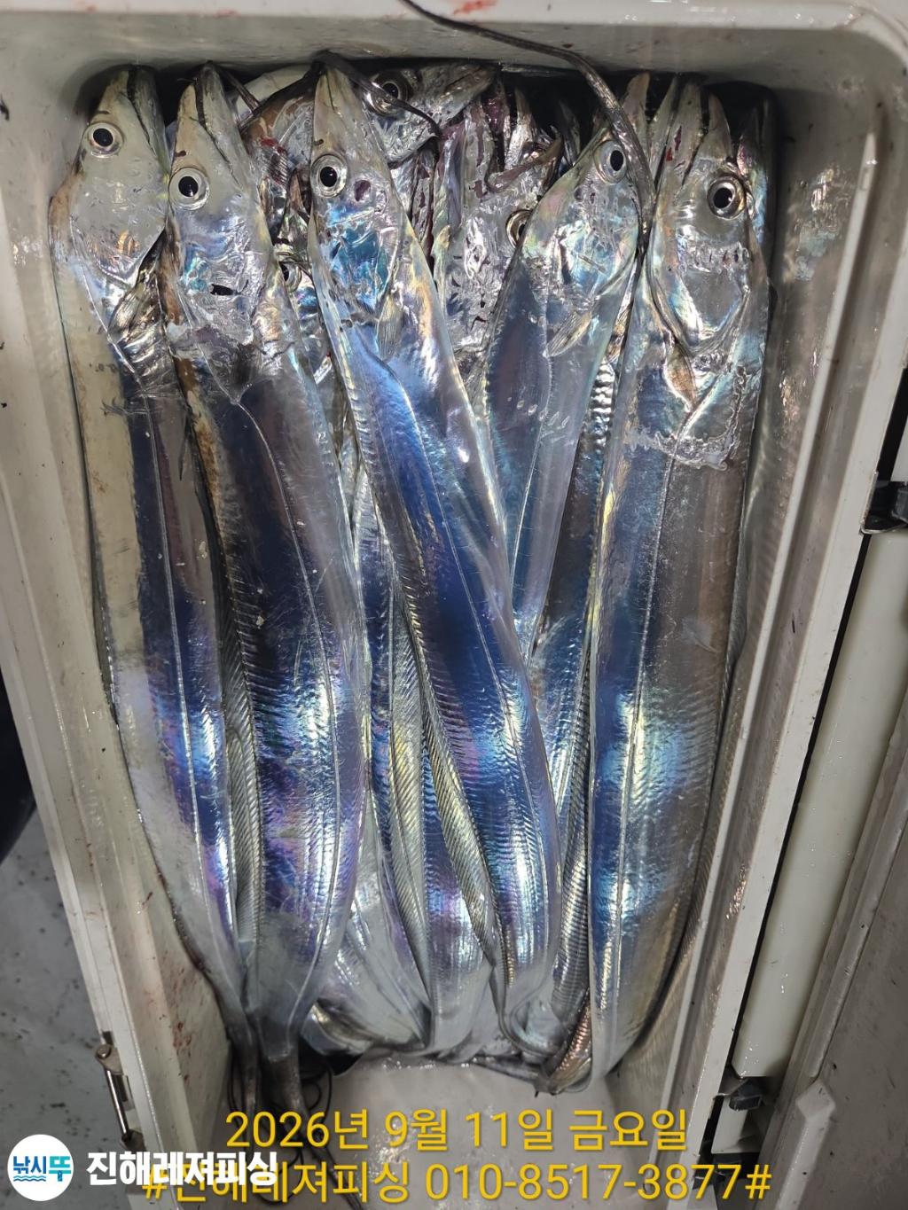 낚시뚜,갈치,진해1부두항,진해레져피싱,낚시뚜13