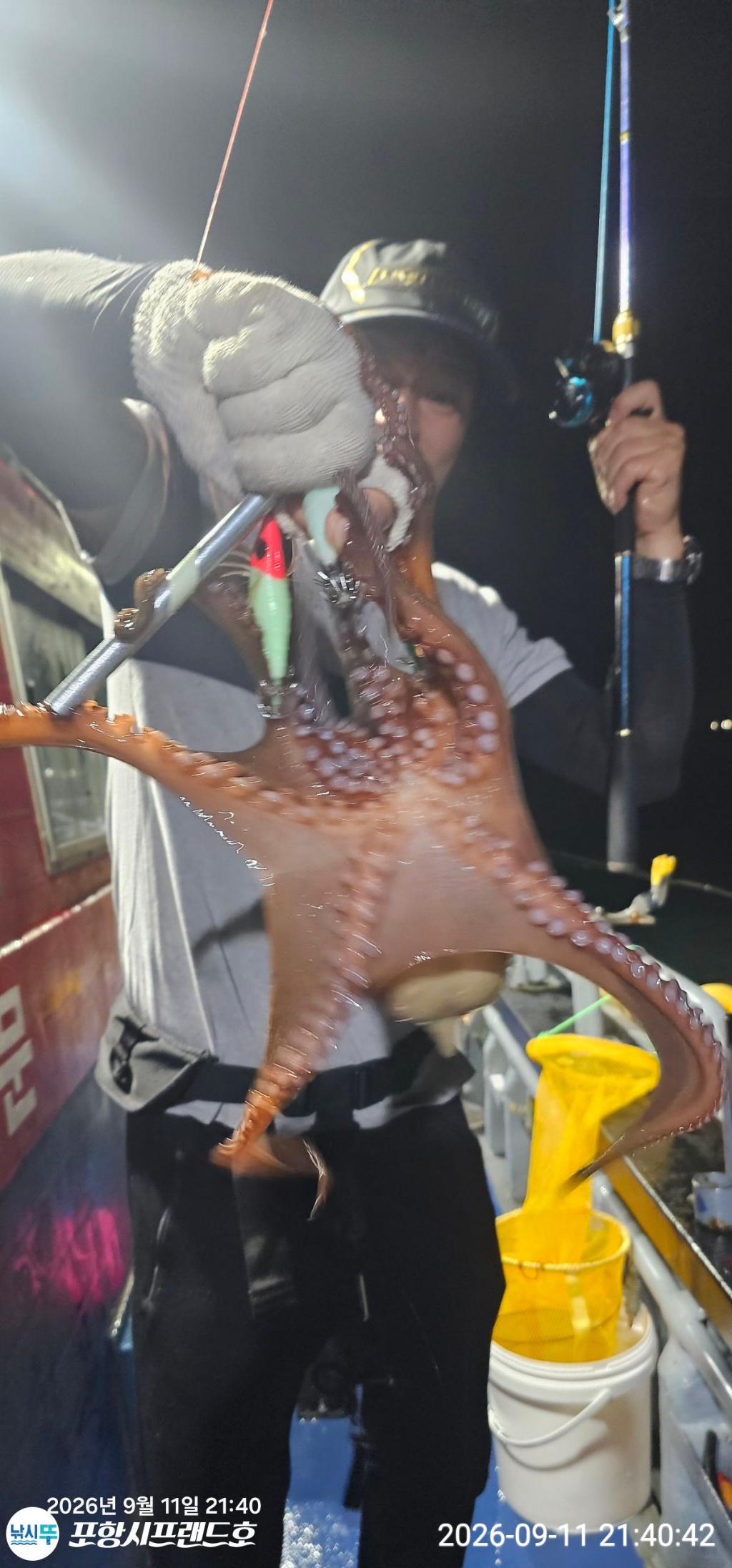 낚시뚜,돌문어,영일만항,포항시프랜드호,낚시뚜13