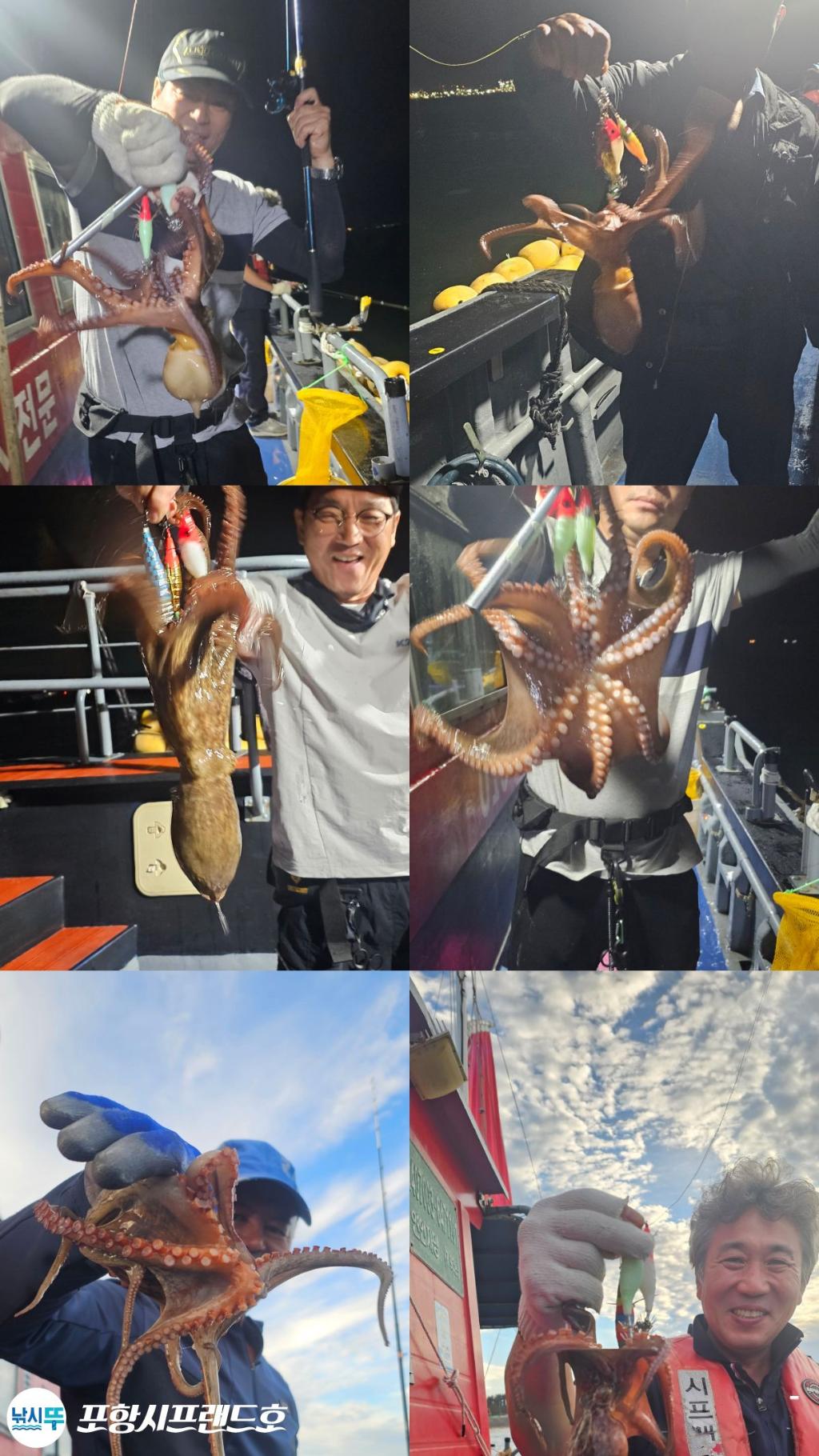 낚시뚜,돌문어,영일만항,포항시프랜드호,낚시뚜0