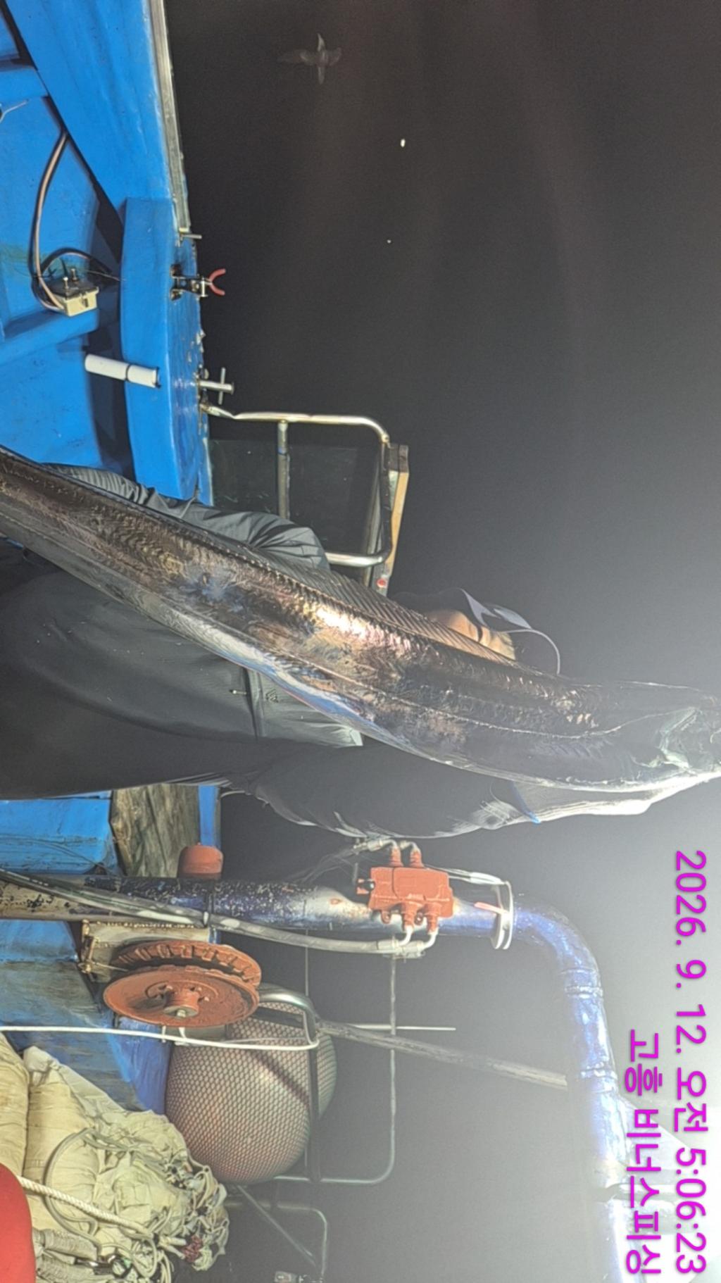 낚시뚜,,녹동항,비너스피싱,낚시뚜1