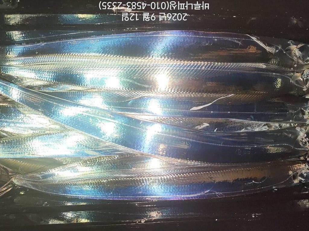 낚시뚜,갈치,속천항(진해),바루나피싱,낚시뚜9