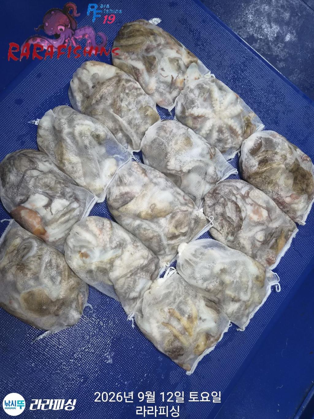 낚시뚜,돌문어,속천항(진해),라라피싱,낚시뚜16