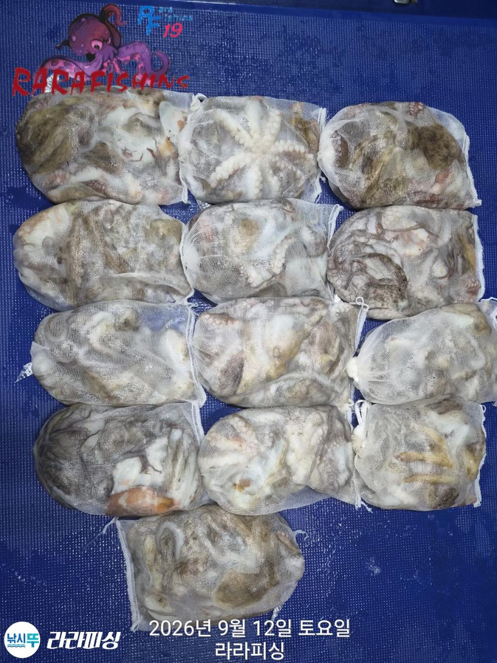 낚시뚜,돌문어,속천항(진해),라라피싱,낚시뚜15