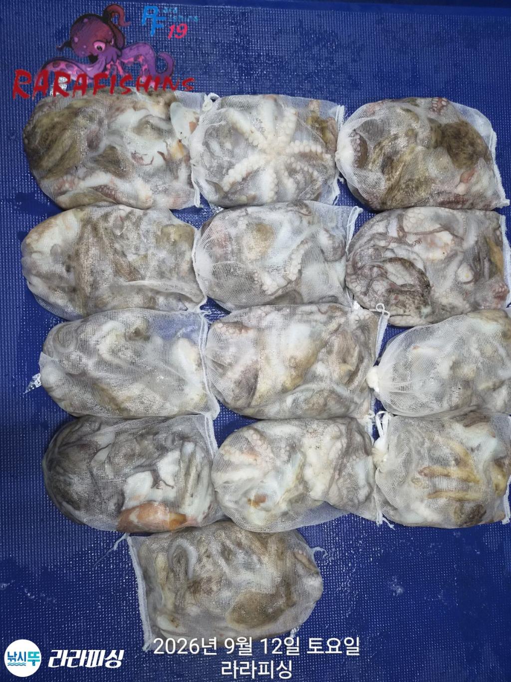 낚시뚜,돌문어,속천항(진해),라라피싱,낚시뚜14