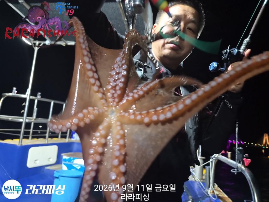 낚시뚜,돌문어,속천항(진해),라라피싱,낚시뚜11