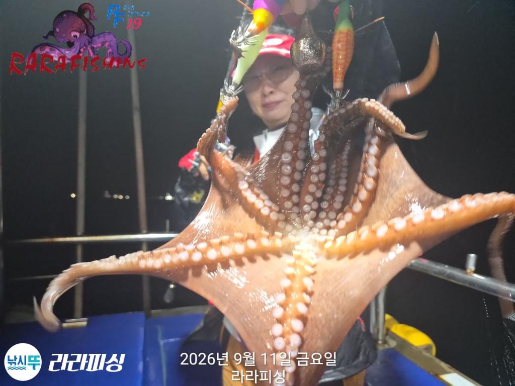 낚시뚜,돌문어,속천항(진해),라라피싱,낚시뚜10