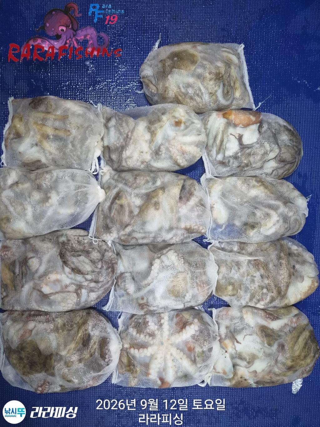 낚시뚜,돌문어,속천항(진해),라라피싱,낚시뚜1