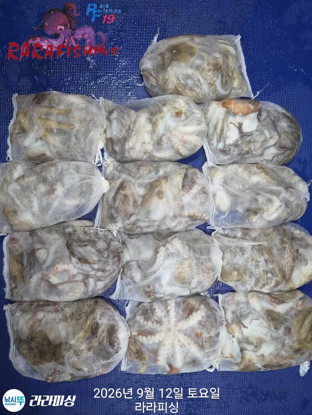 낚시뚜,돌문어,속천항(진해),라라피싱,낚시뚜0