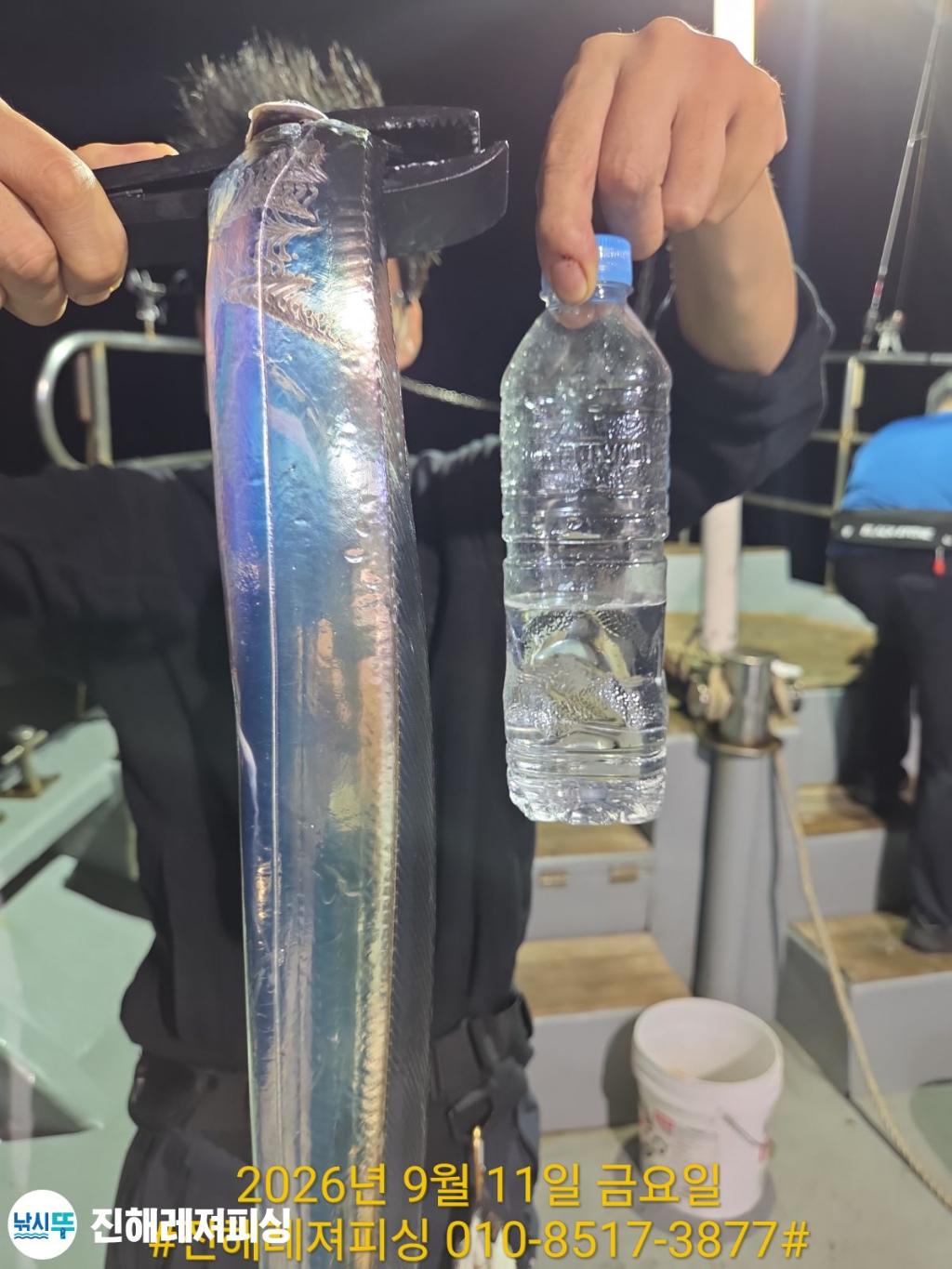 낚시뚜,갈치,진해1부두항,진해레져피싱,낚시뚜29