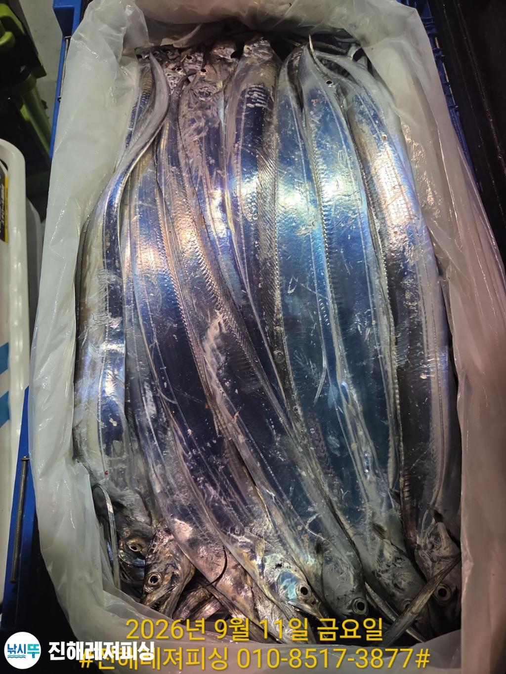 낚시뚜,갈치,진해1부두항,진해레져피싱,낚시뚜11