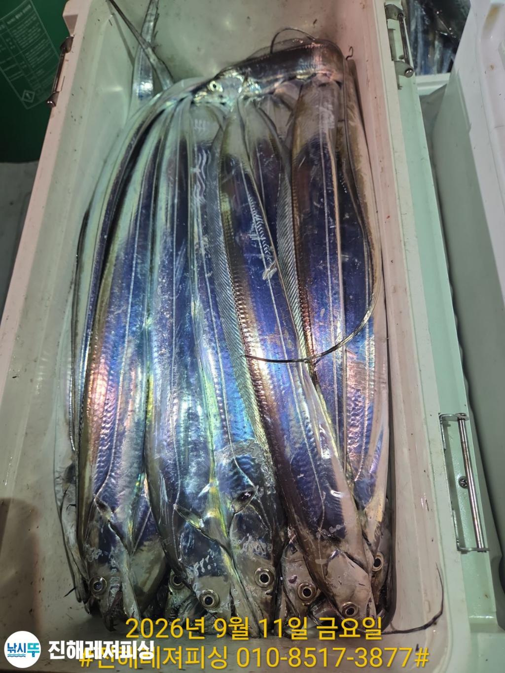 낚시뚜,갈치,진해1부두항,진해레져피싱,낚시뚜4