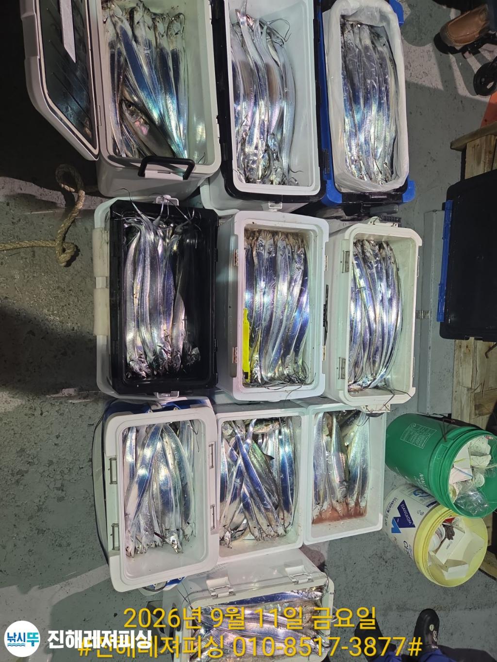 낚시뚜,갈치,진해1부두항,진해레져피싱,낚시뚜1