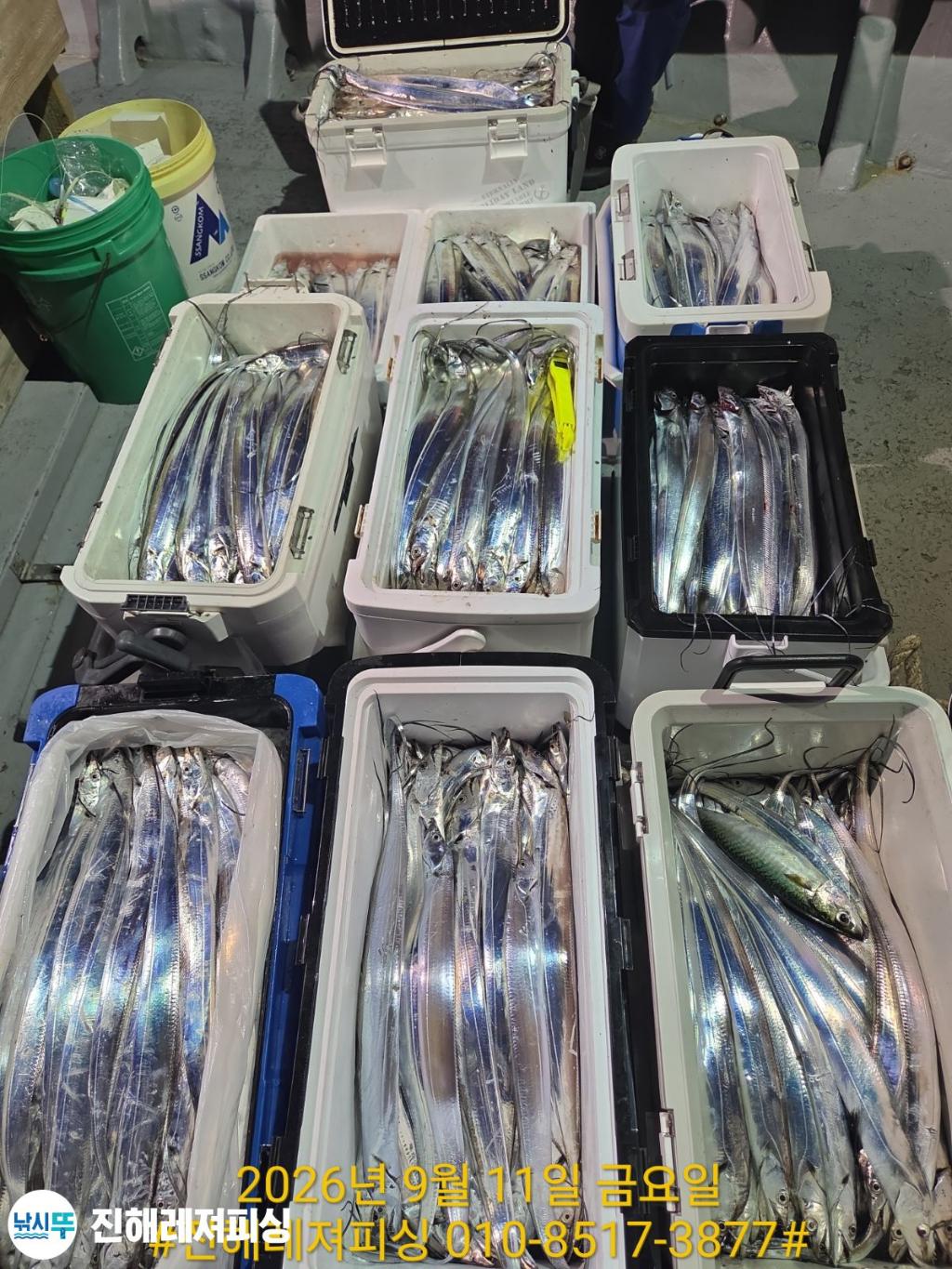 낚시뚜,갈치,진해1부두항,진해레져피싱,낚시뚜0