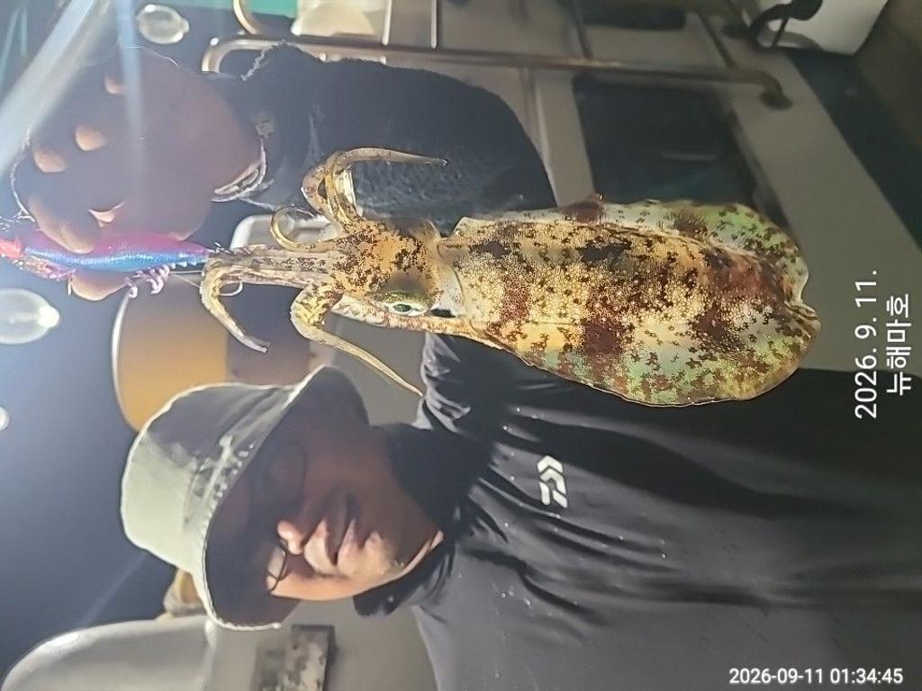낚시뚜,무늬오징어,영일만항,뉴해마호,낚시뚜42