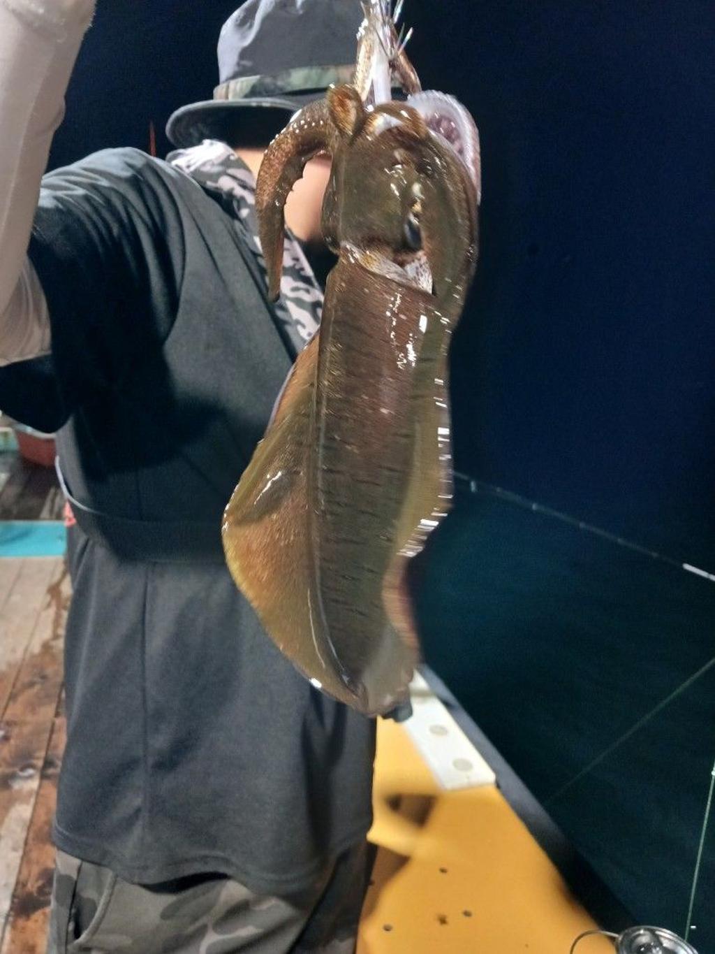 낚시뚜,무늬오징어,영일만항,뉴해마호,낚시뚜28