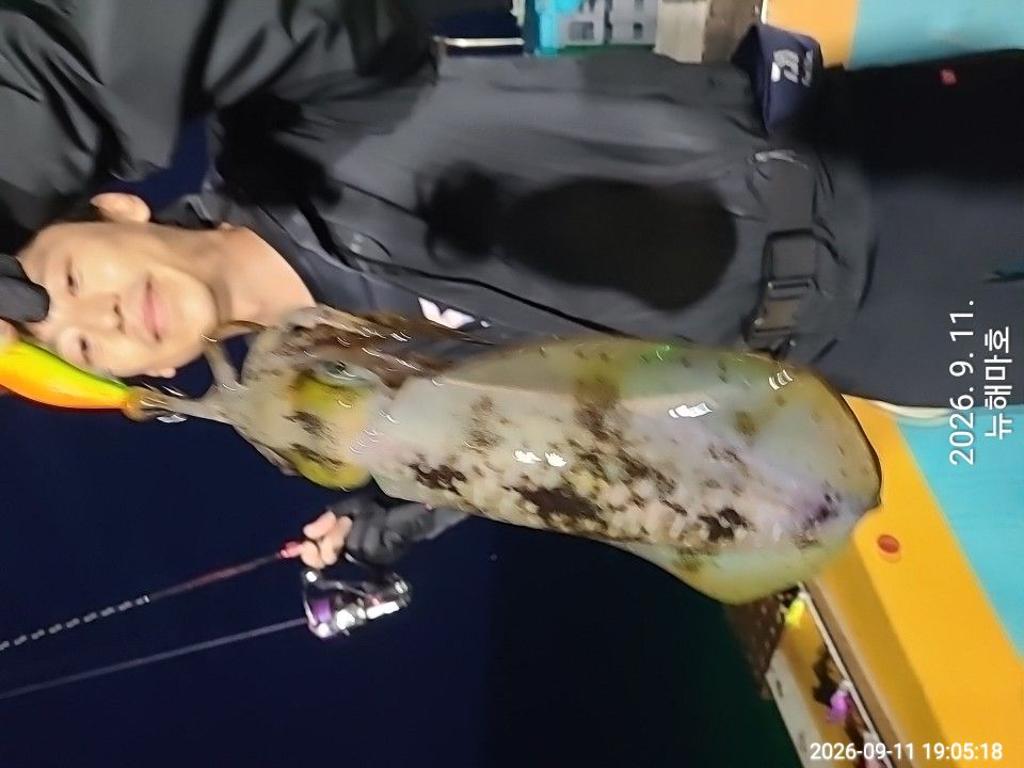 낚시뚜,무늬오징어,영일만항,뉴해마호,낚시뚜20