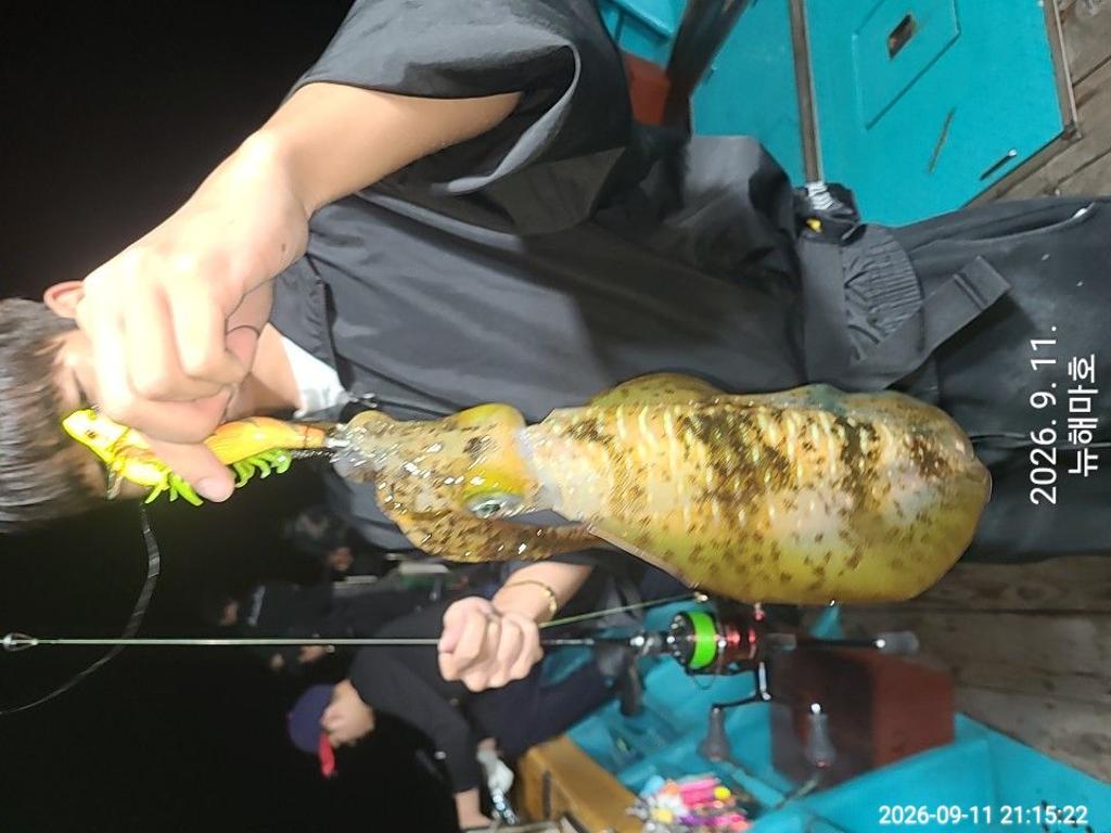낚시뚜,무늬오징어,영일만항,뉴해마호,낚시뚜4