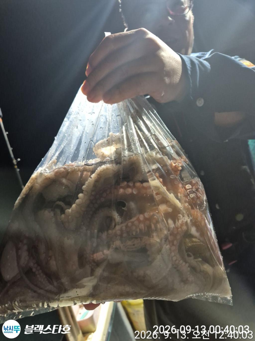 낚시뚜,돌문어,삼천포 팔포항,삼천포 블랙스타,낚시뚜10