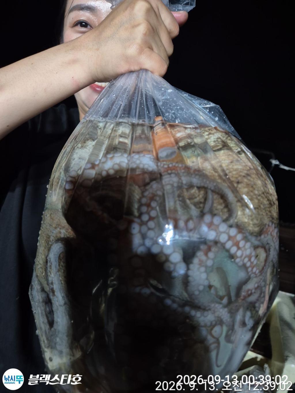 낚시뚜,돌문어,삼천포 팔포항,삼천포 블랙스타,낚시뚜9