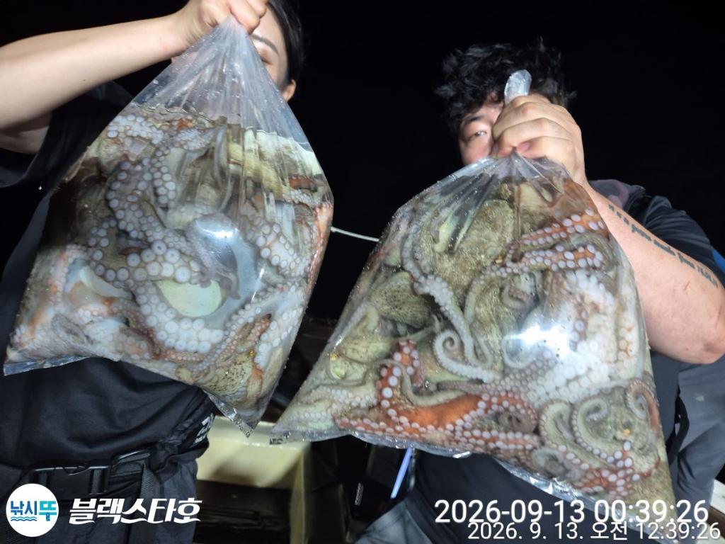 낚시뚜,돌문어,삼천포 팔포항,삼천포 블랙스타,낚시뚜7