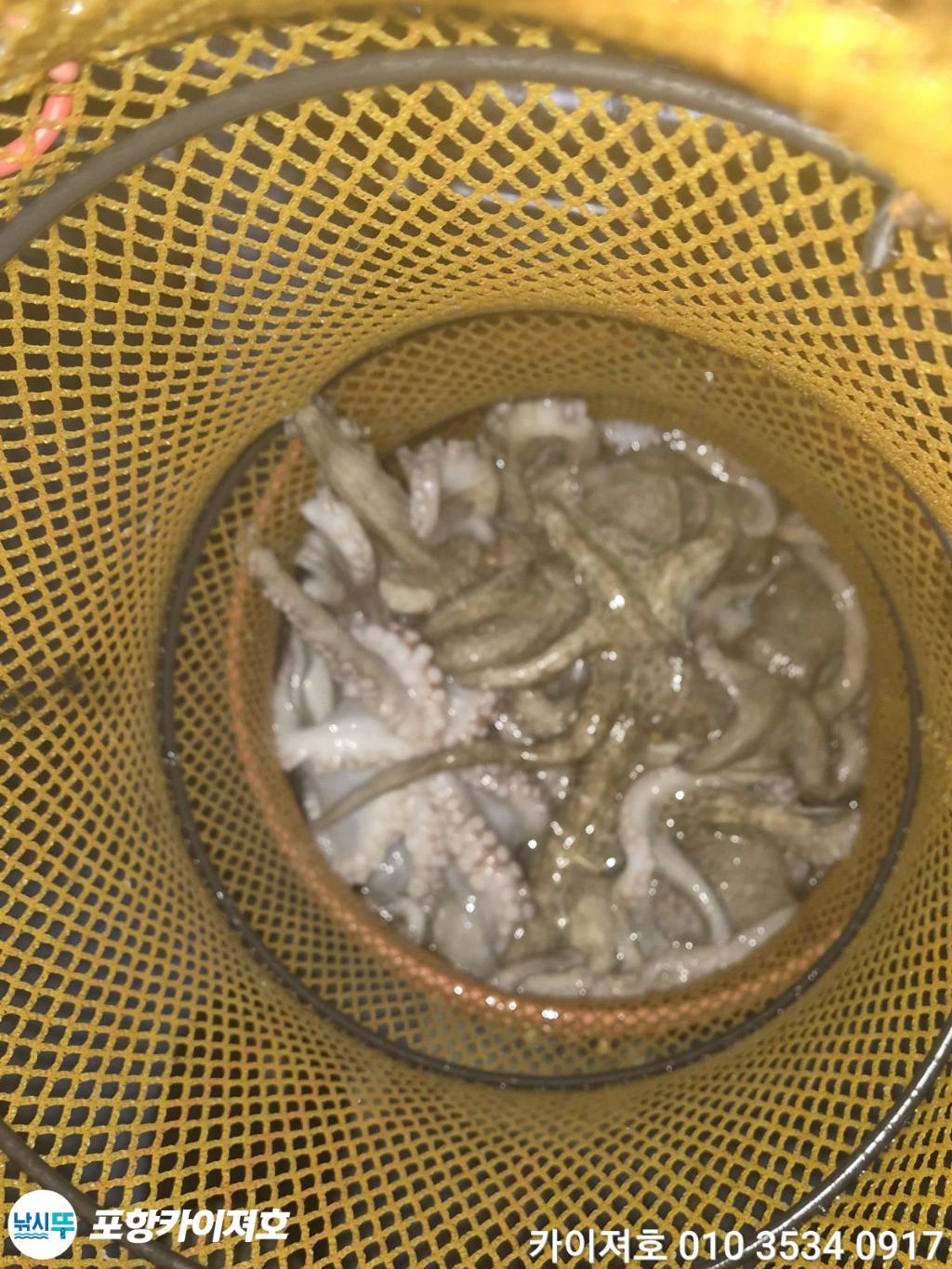 낚시뚜,기타 (직접입력),영일만항,포항카이져호,낚시뚜58