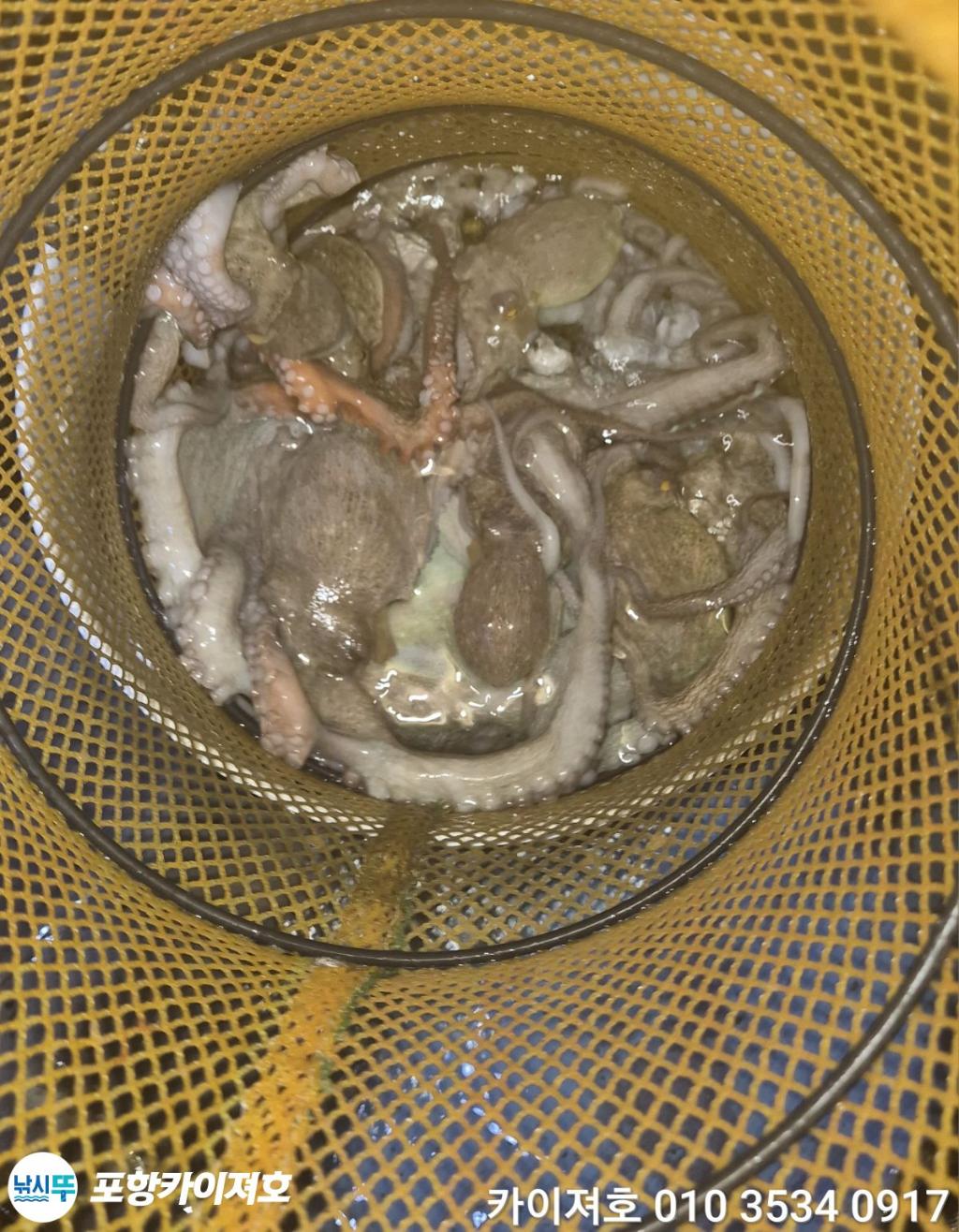 낚시뚜,기타 (직접입력),영일만항,포항카이져호,낚시뚜57