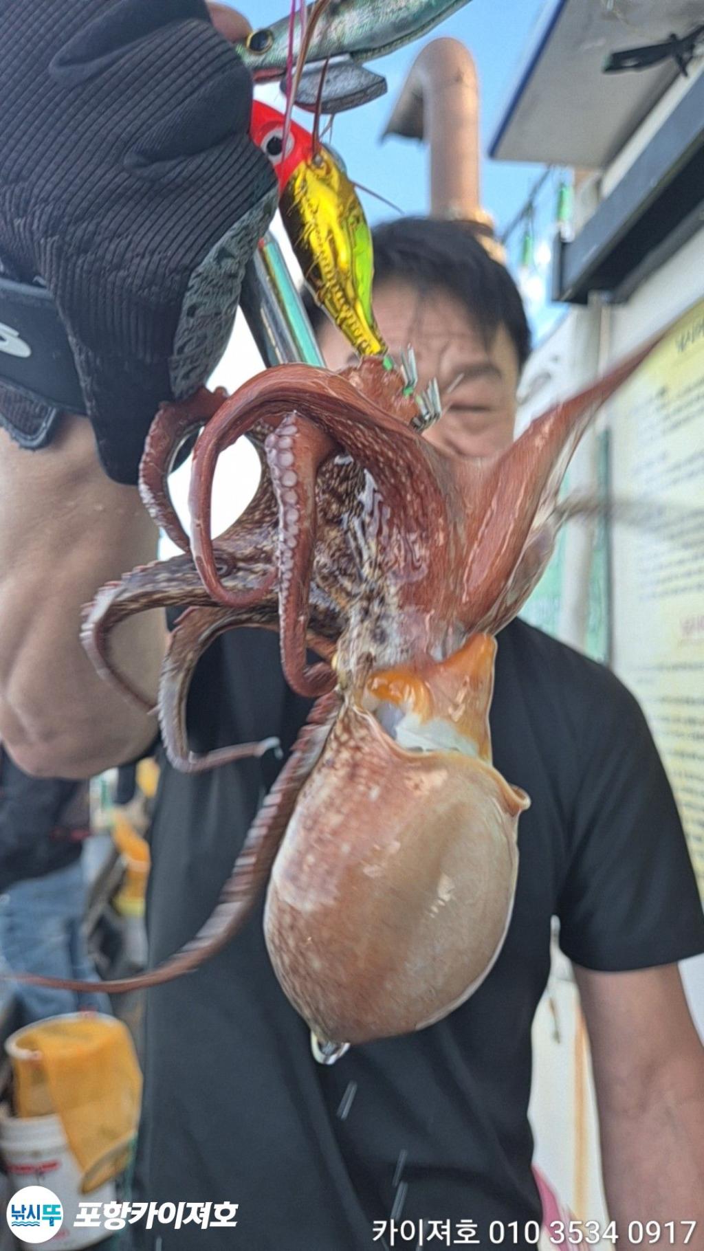낚시뚜,기타 (직접입력),영일만항,포항카이져호,낚시뚜0