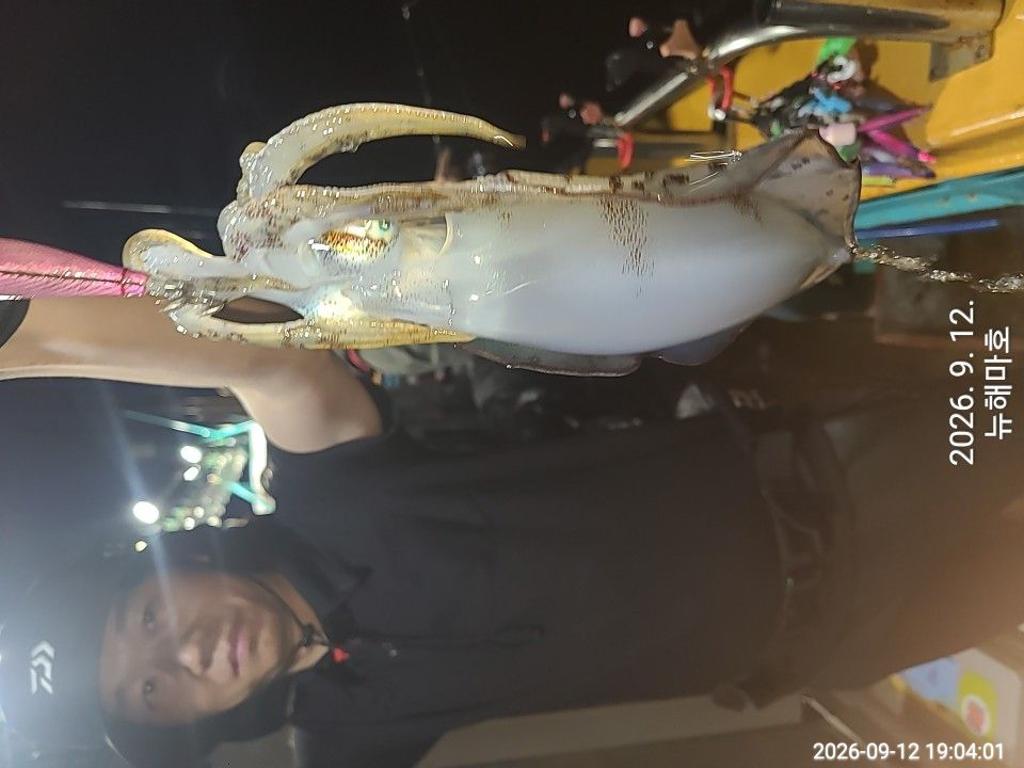 낚시뚜,무늬오징어,영일만항,뉴해마호,낚시뚜13