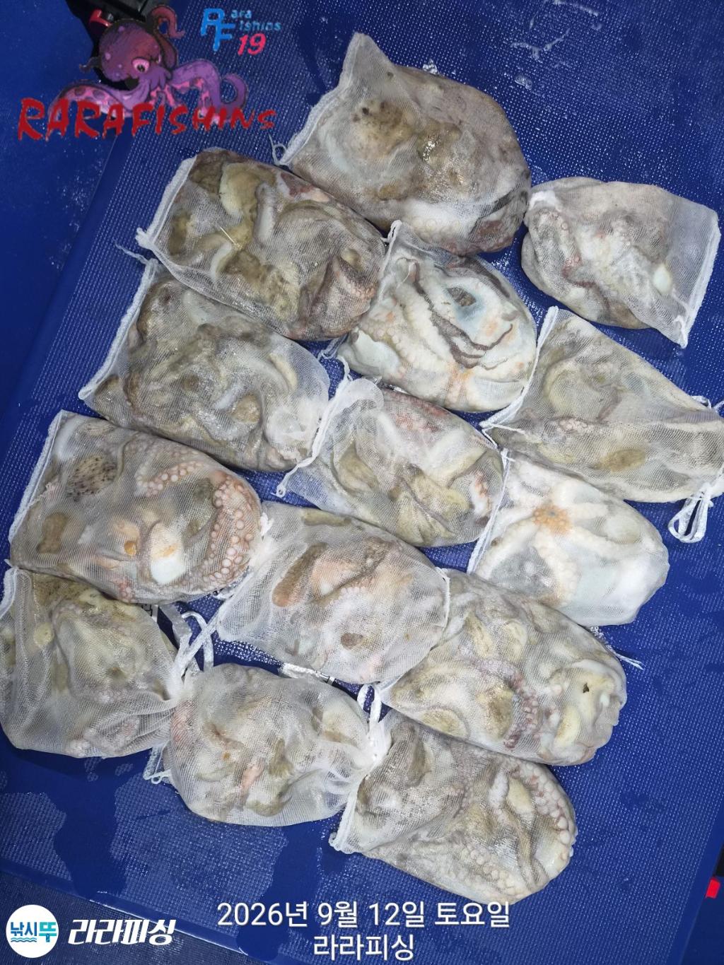 낚시뚜,돌문어,속천항(진해),라라피싱,낚시뚜16