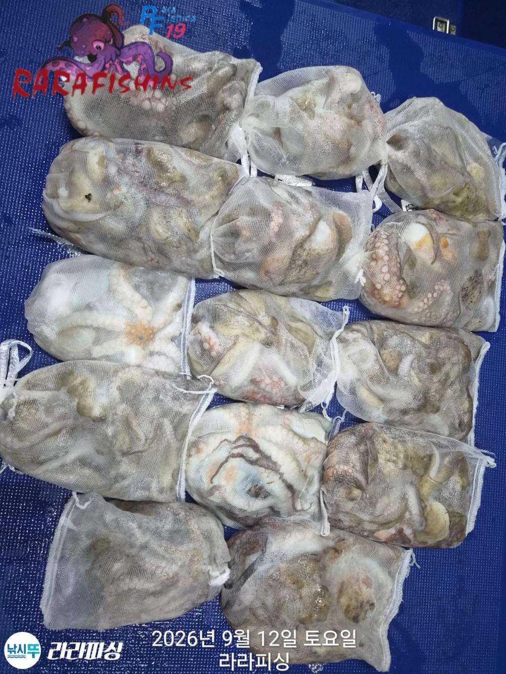 낚시뚜,돌문어,속천항(진해),라라피싱,낚시뚜13