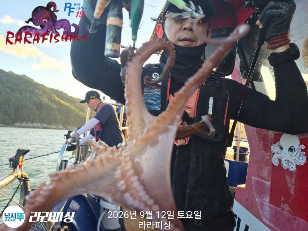 낚시뚜,돌문어,속천항(진해),라라피싱,낚시뚜5