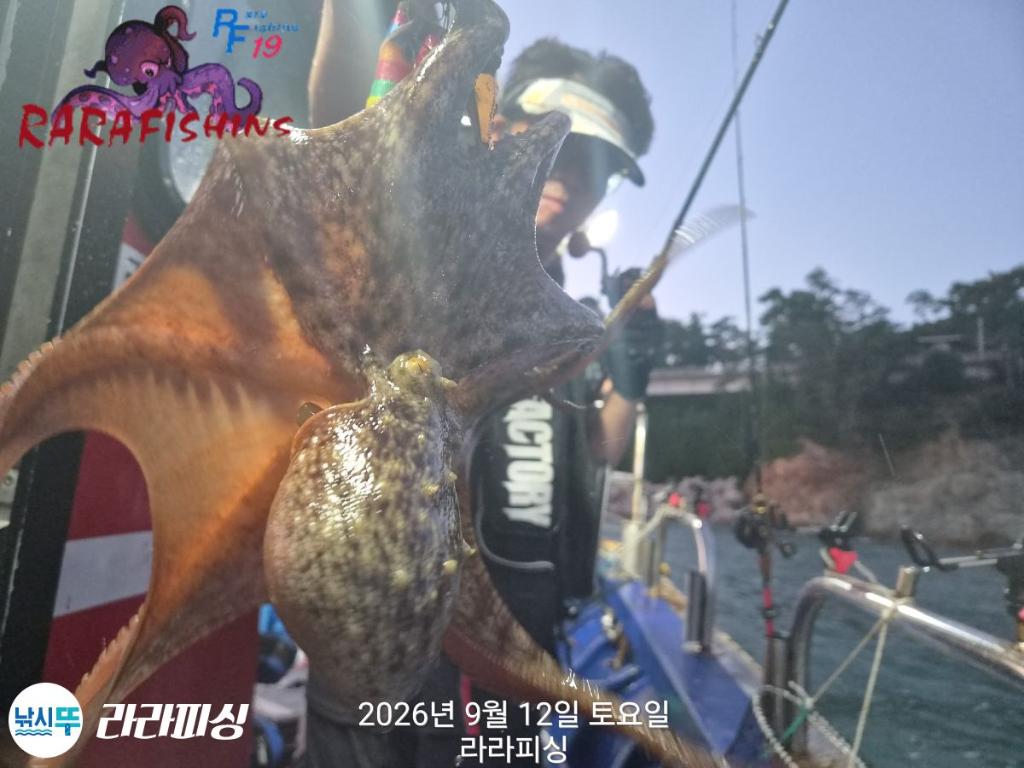 낚시뚜,돌문어,속천항(진해),라라피싱,낚시뚜2