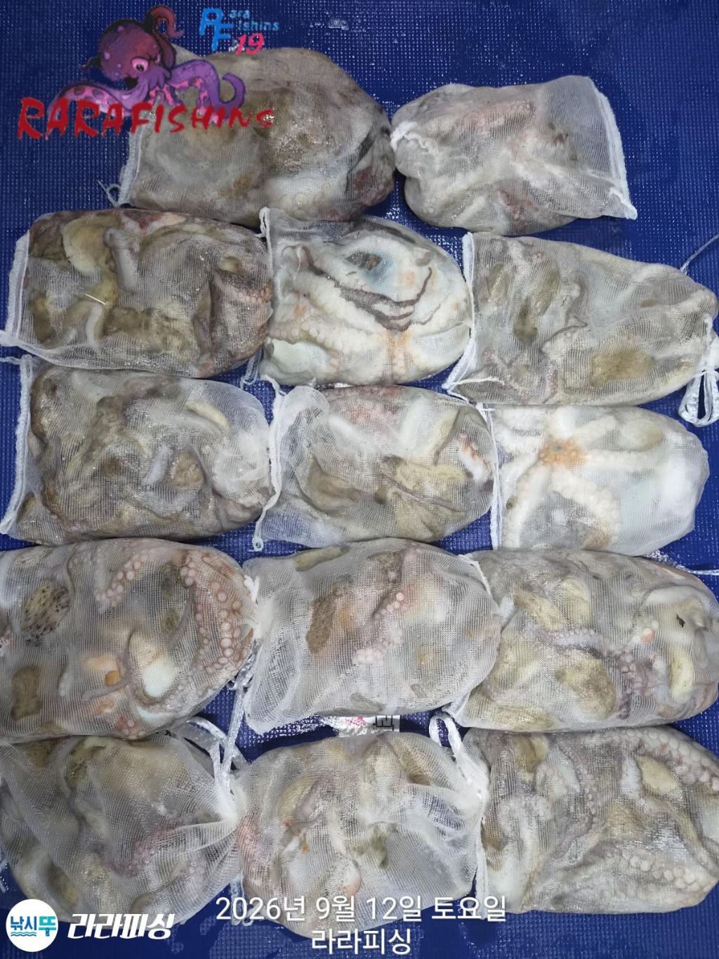 낚시뚜,돌문어,속천항(진해),라라피싱,낚시뚜1