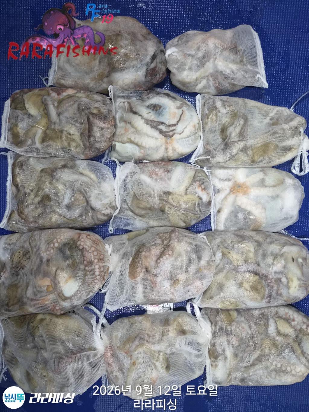 낚시뚜,돌문어,속천항(진해),라라피싱,낚시뚜0