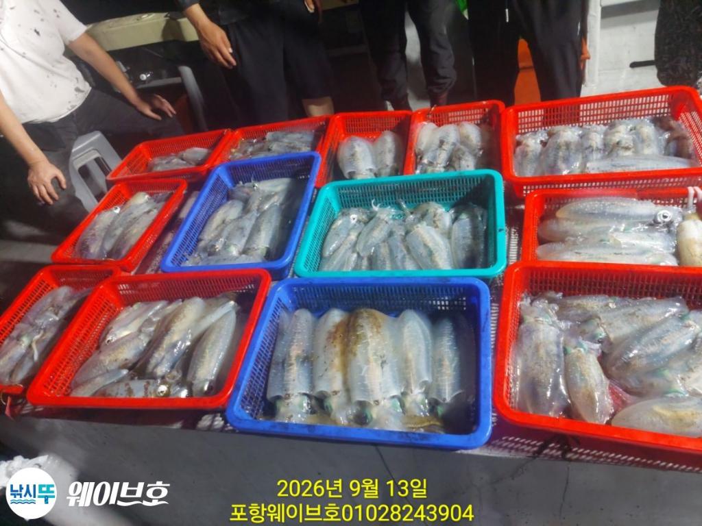 낚시뚜,무늬오징어,구룡포항,뉴웨이브호,낚시뚜2