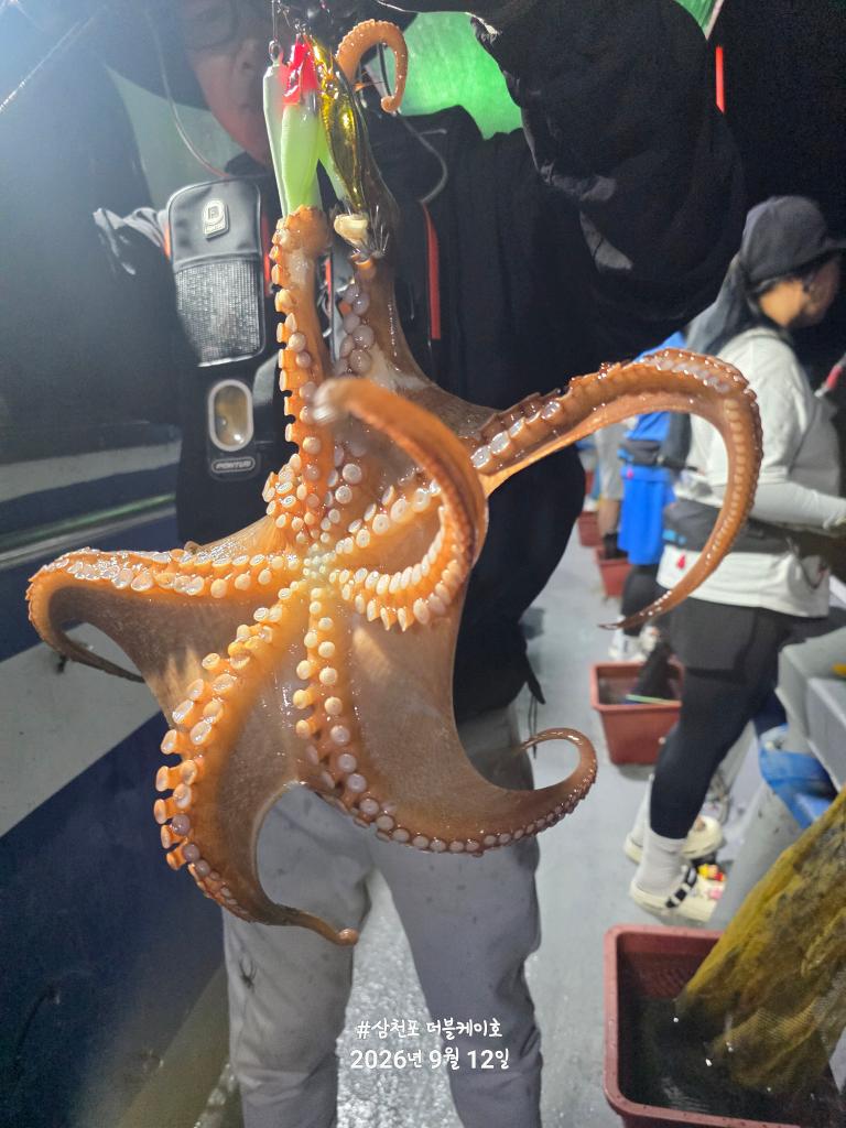 낚시뚜,돌문어,쭈꾸미,삼천포 팔포항,삼천포 더블케이호,낚시뚜11