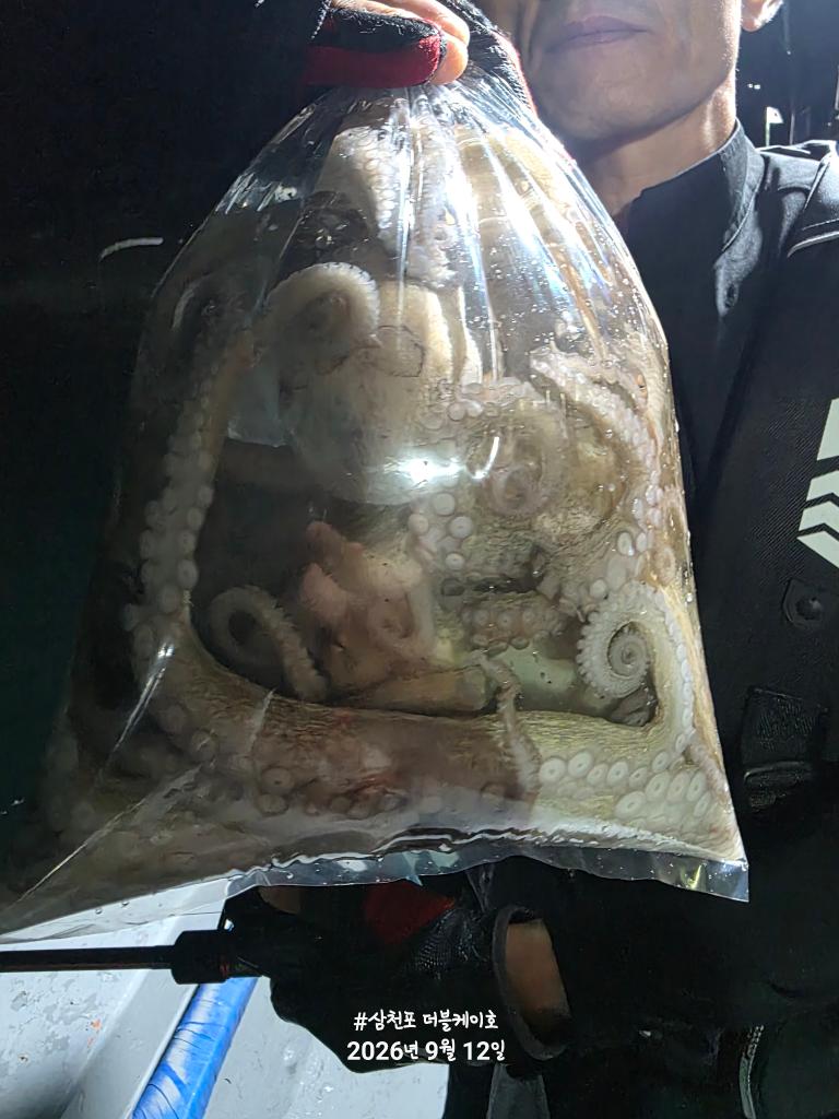 낚시뚜,돌문어,쭈꾸미,삼천포 팔포항,삼천포 더블케이호,낚시뚜5