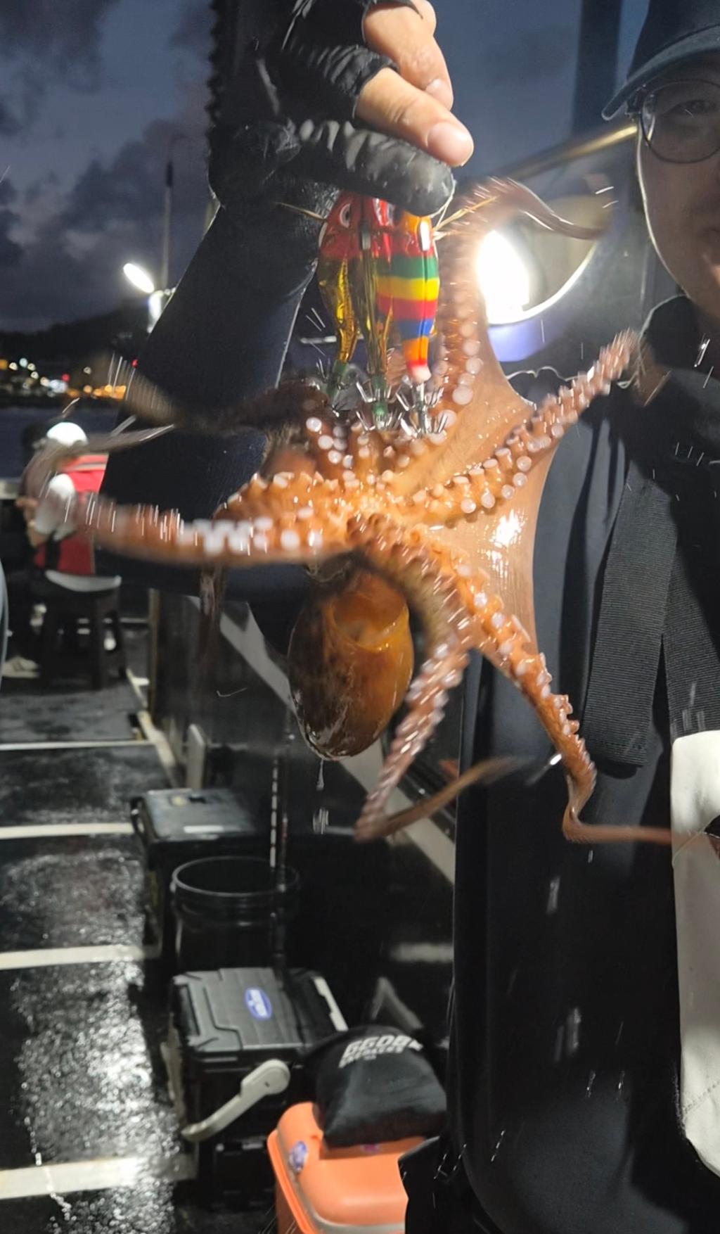 낚시뚜,돌문어,포항여남항,포항포시즌호,낚시뚜16