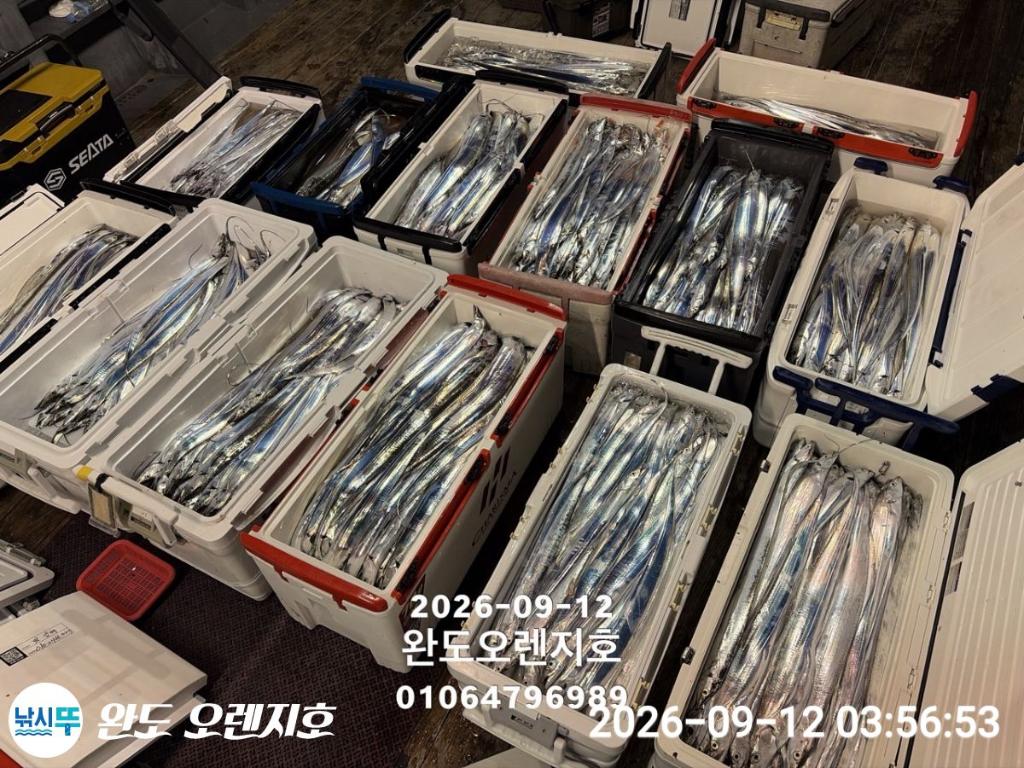낚시뚜,갈치,완도항,완도 오렌지호,낚시뚜23