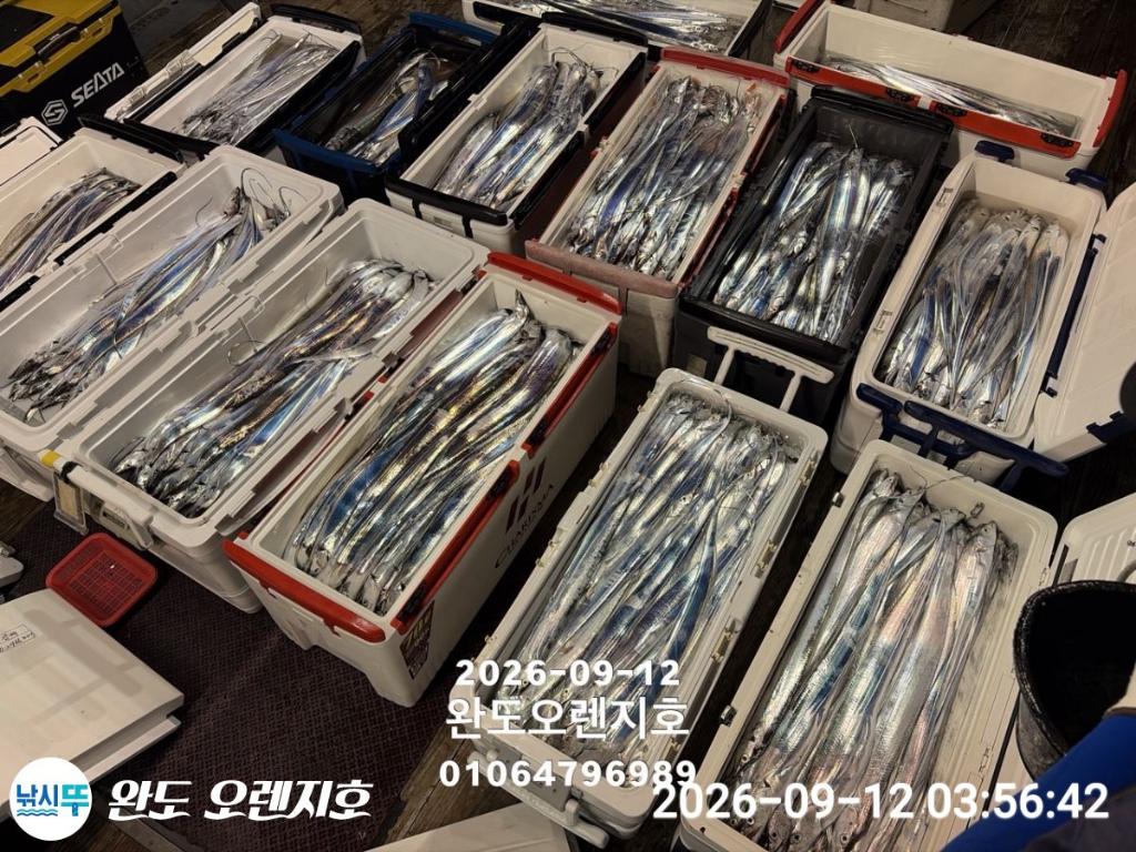 낚시뚜,갈치,완도항,완도 오렌지호,낚시뚜22