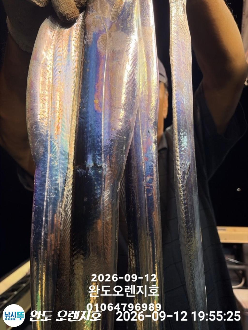 낚시뚜,갈치,완도항,완도 오렌지호,낚시뚜35